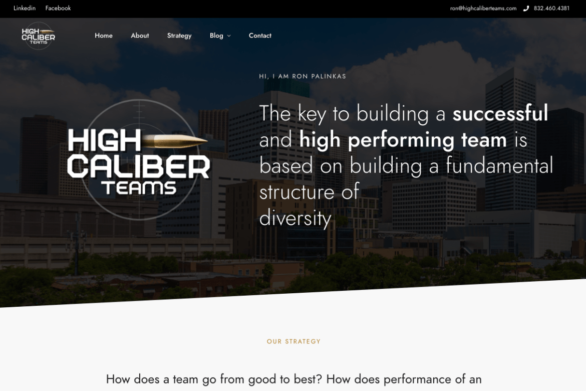 high caliber teams - website development project