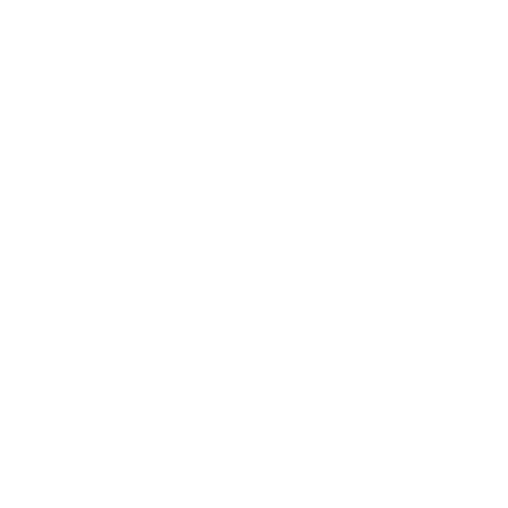 houston business women association member
